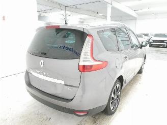 Renault Mégane SCENIC III BOSE EDIT picture 10