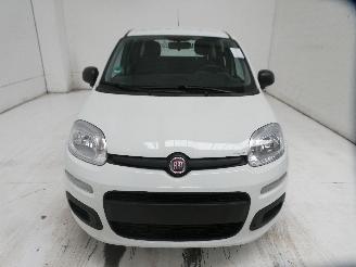 Fiat Panda EASY picture 2