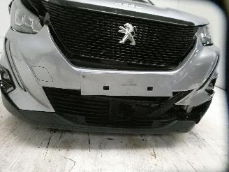 Peugeot 2008 II ACTIVE picture 13