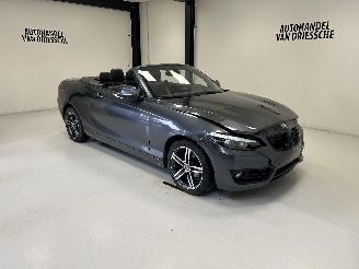 krockskadad bil auto BMW 2-serie SPORTLINE AUTOMAAT 2019/3
