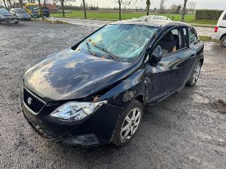 krockskadad bil auto Seat Ibiza  2009/9
