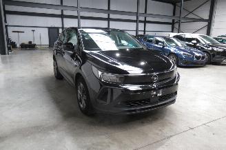 Opel Grandland SUV picture 6