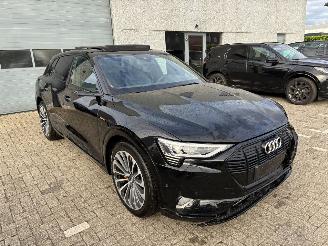 Audi E-tron AUDI e-tron 55 quattro 2020 picture 8