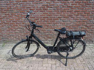 skadebil fiets Batavus  Wayz E-go  Active 2020/6