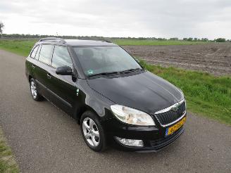 škoda osobní automobily Skoda Fabia 1.2 TDi Greenline Business Line Navigatie Airco Climaat  2012 2012/8