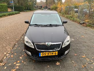 Voiture accidenté Skoda Fabia 1.2 TDI GREENLINE 2012/9