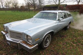 Schadeauto Buick Century CUSTOM V8 STATIONWAGON 1976/6