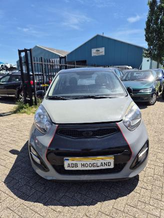 Démontage voiture Kia Picanto (TA) Hatchback 1.0 12V (G3LA) [51kW] 5-BAK 2013/1