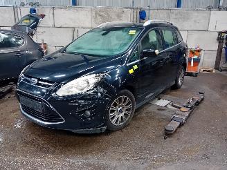 disassembly passenger cars Ford Grand C-Max Grand C-Max (DXA) MPV 1.6 EcoBoost 16V (JQDA(Euro 5)) [110kW]  (12-201=
0/06-2019) 2011/7