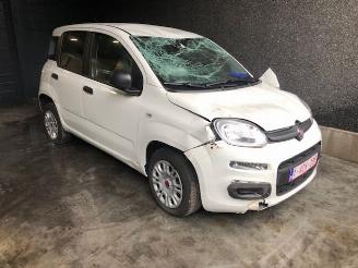 Dezmembrări autoturisme Fiat Panda  2018/1