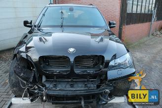 disassembly passenger cars BMW X5 E70 X5 M 2010/5